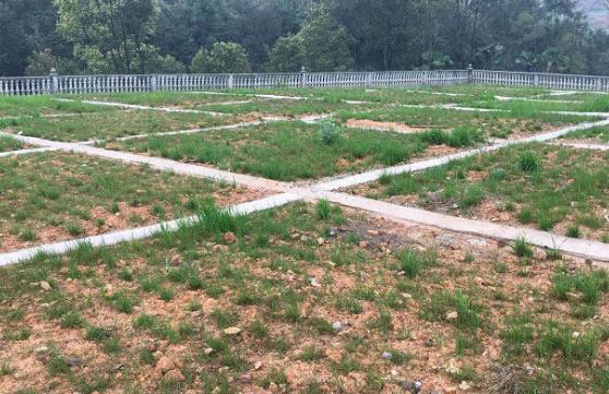 農村環境綜合整治存在哪些問題? 農村環境綜合整治存在哪些問題?