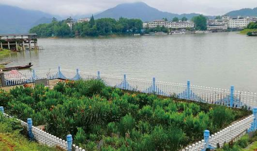 淺談農村污水主要來源有哪些？